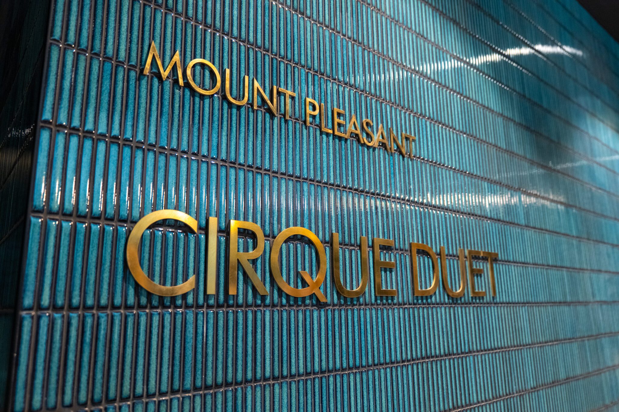 Site Tour: Cirque Duet by Erben – 5 March 2025