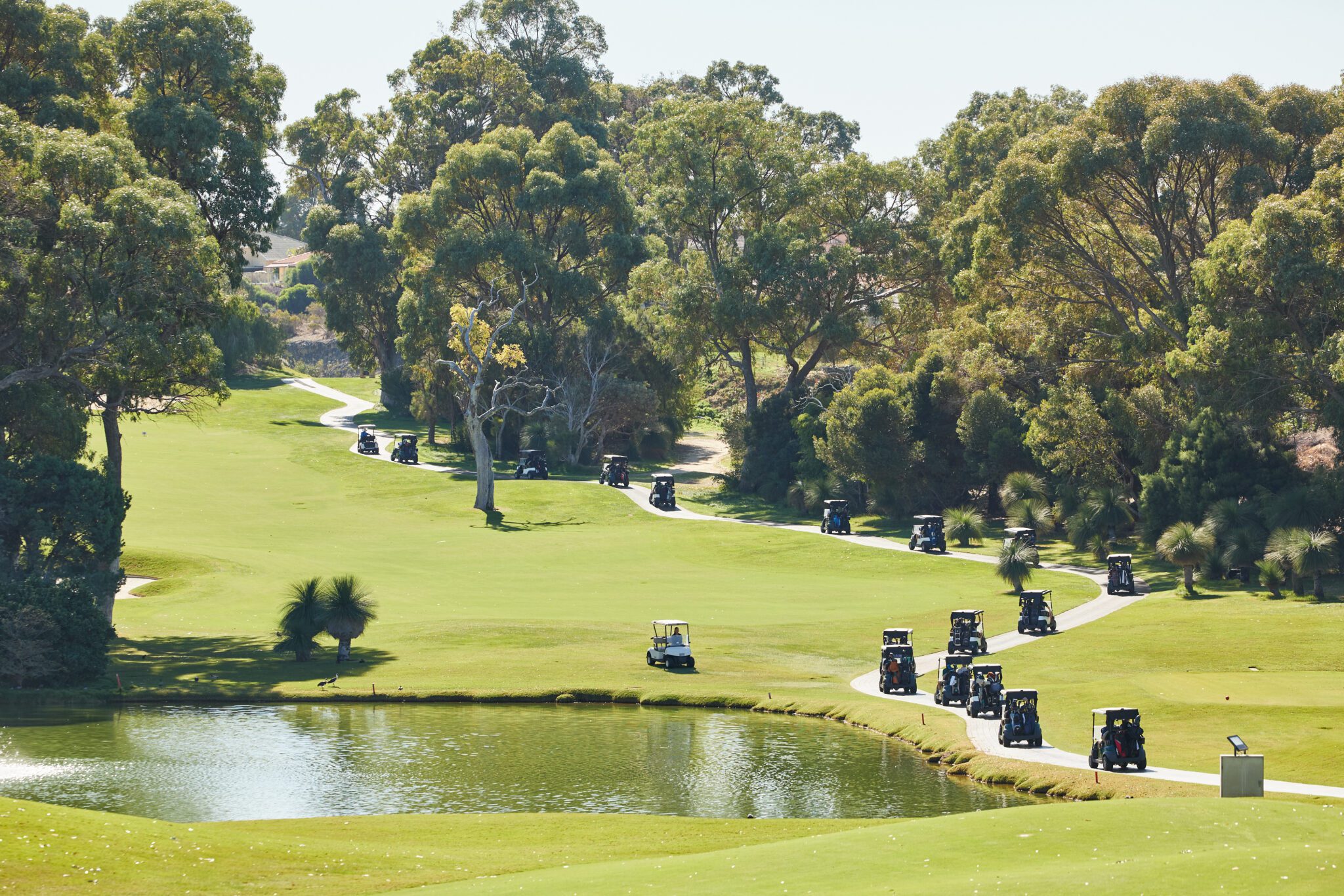 UDIA WA 2025 Annual Golf Classic